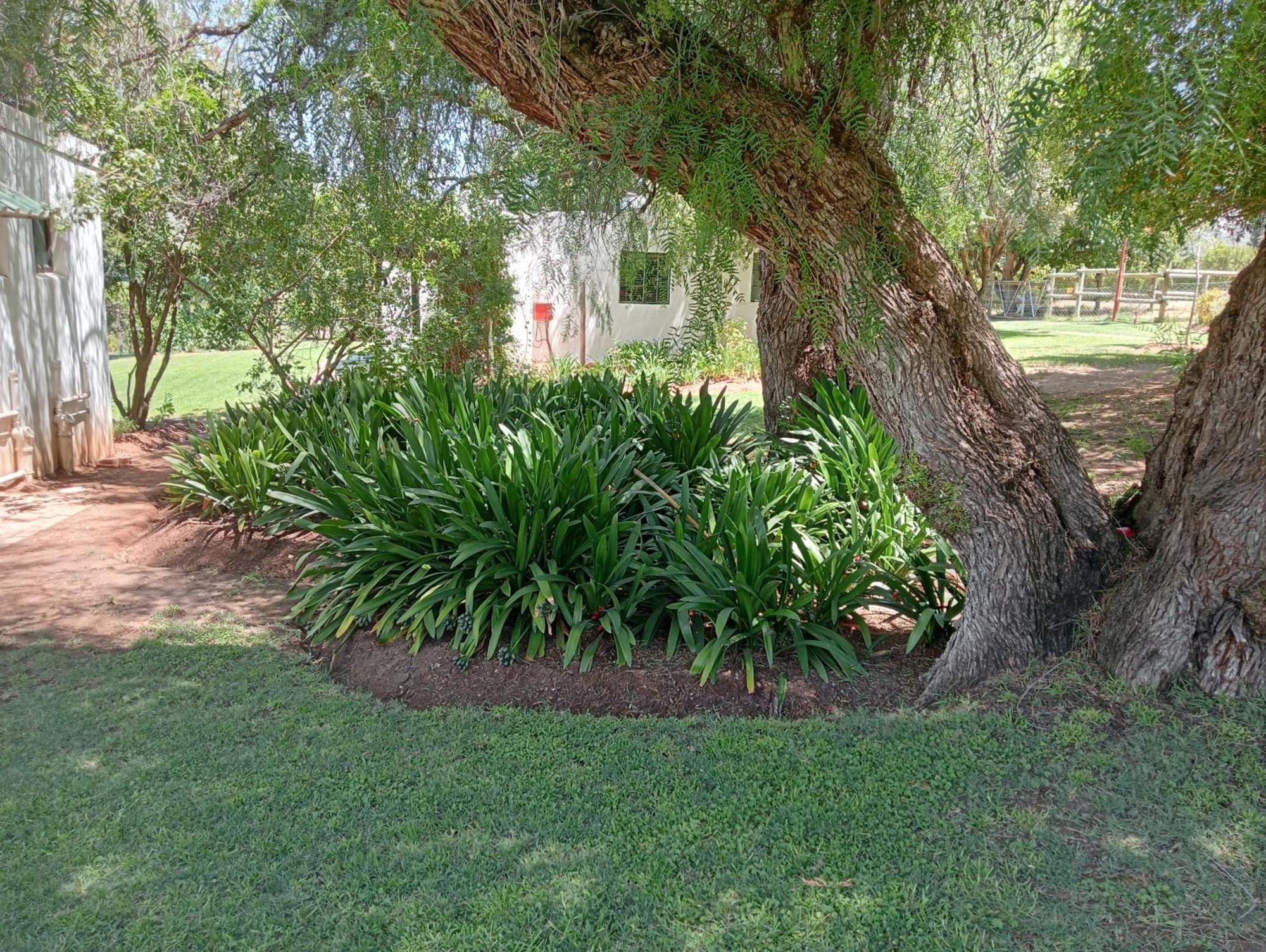 Kranskloof Country Lodge Oudtshoorn Esterno foto