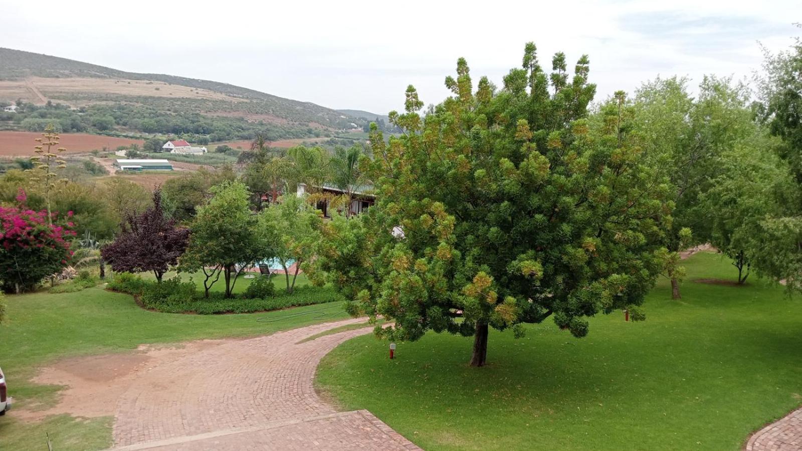 Kranskloof Country Lodge Oudtshoorn Esterno foto