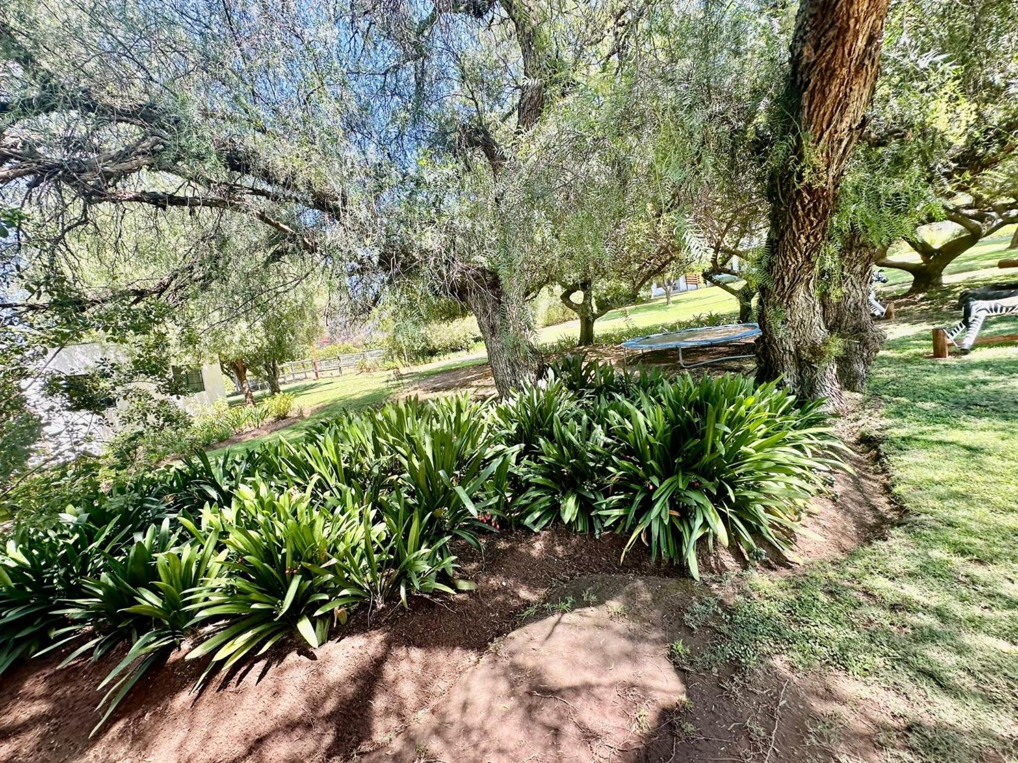 Kranskloof Country Lodge Oudtshoorn Esterno foto