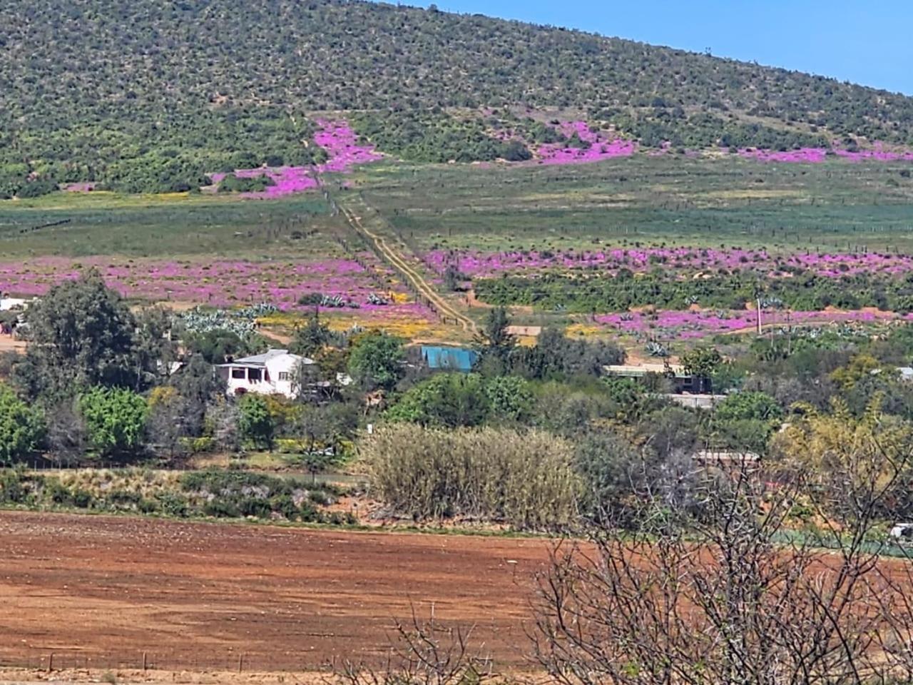 Kranskloof Country Lodge Oudtshoorn Esterno foto